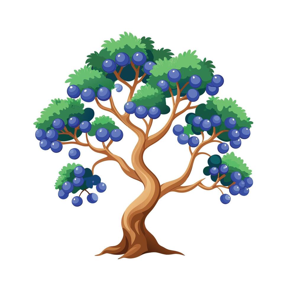 Beautiful Single Big Tree Illustration vector