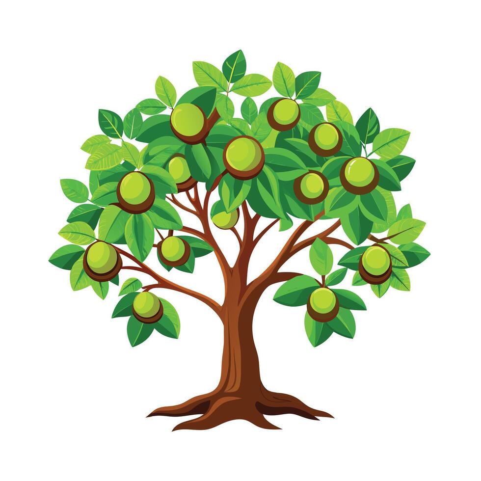 Beautiful Single Big Tree Illustration vector