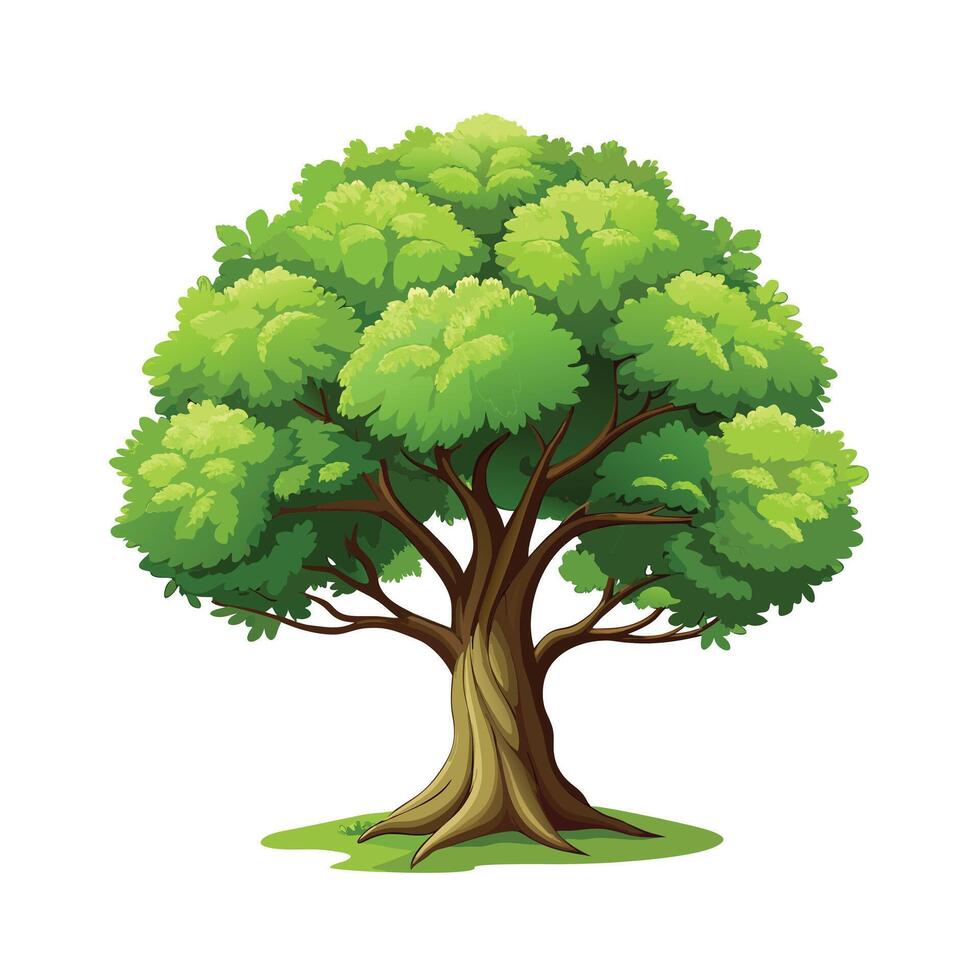 Beautiful Single Big Tree Illustration vector
