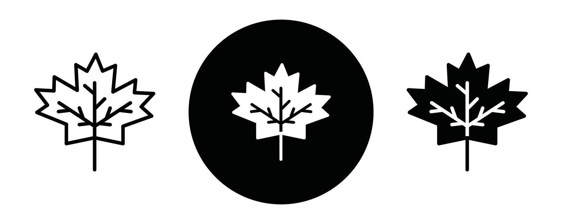 Maple leaf outline icon collection or set. Maple leaf Thin line art vector