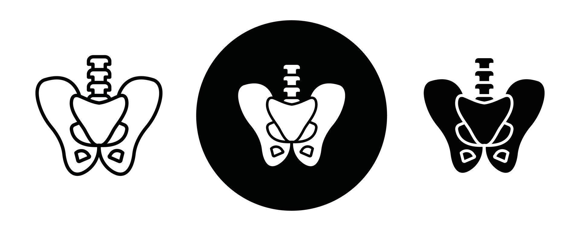 Pelvic area outline icon collection or set. Pelvic area Thin line art vector
