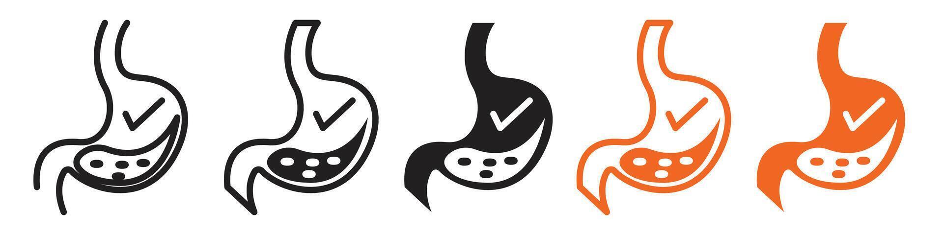 Icon for Healthy Digestion Showcasing Nutrient Absorption in the Gastrointestinal Tract vector