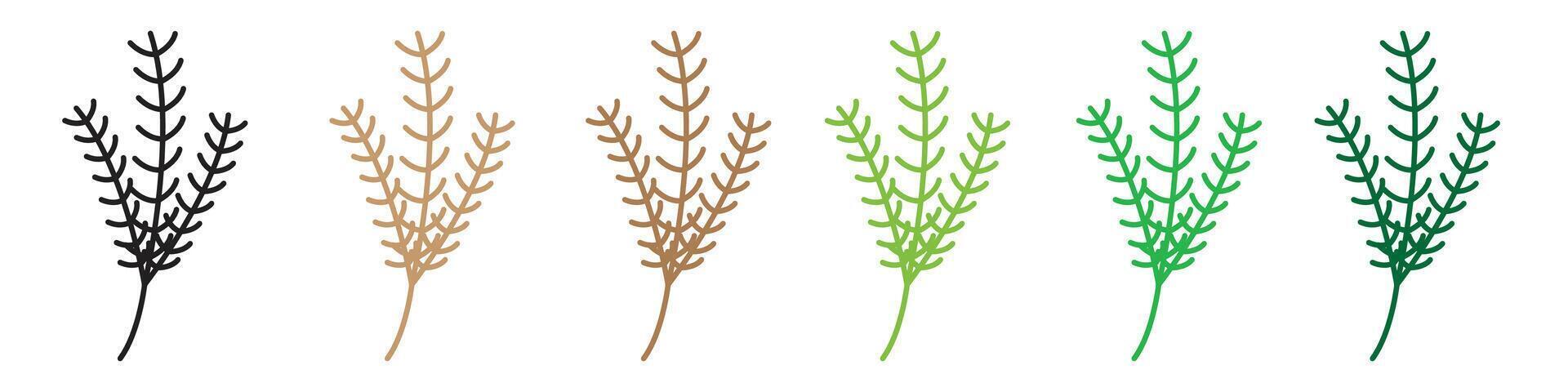 Natural Pine Branch Icons Symbolizing Festive Fir Tree Needles vector