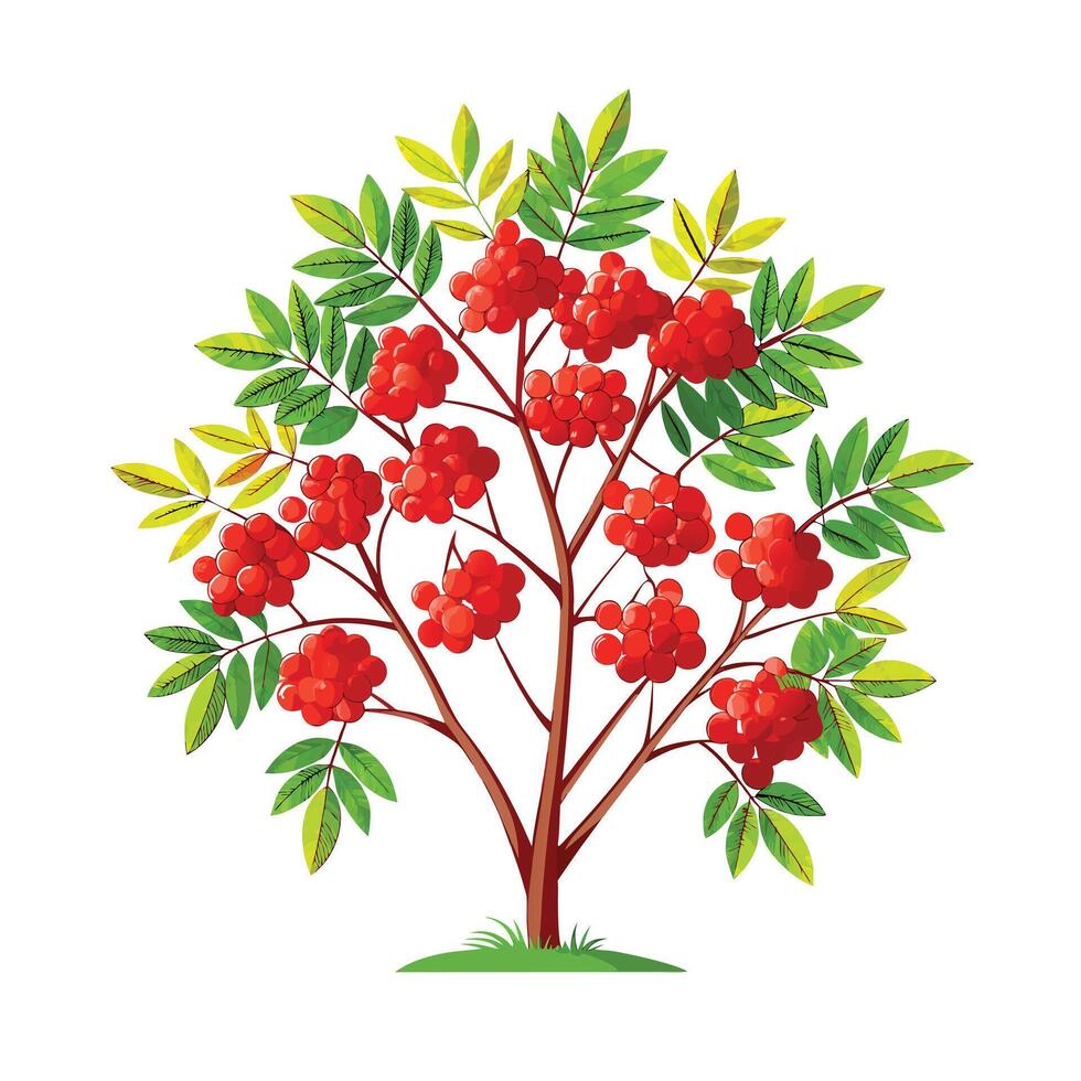 Beautiful Single Big Tree Illustration vector