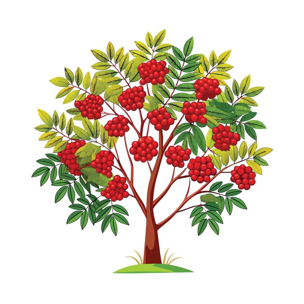Beautiful Single Big Tree Illustration vector
