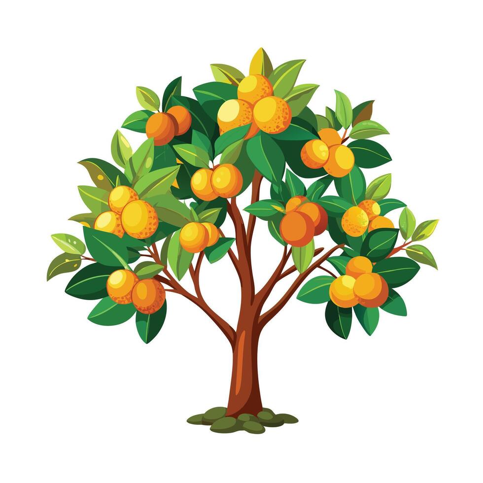 Beautiful Single Big Tree Illustration vector