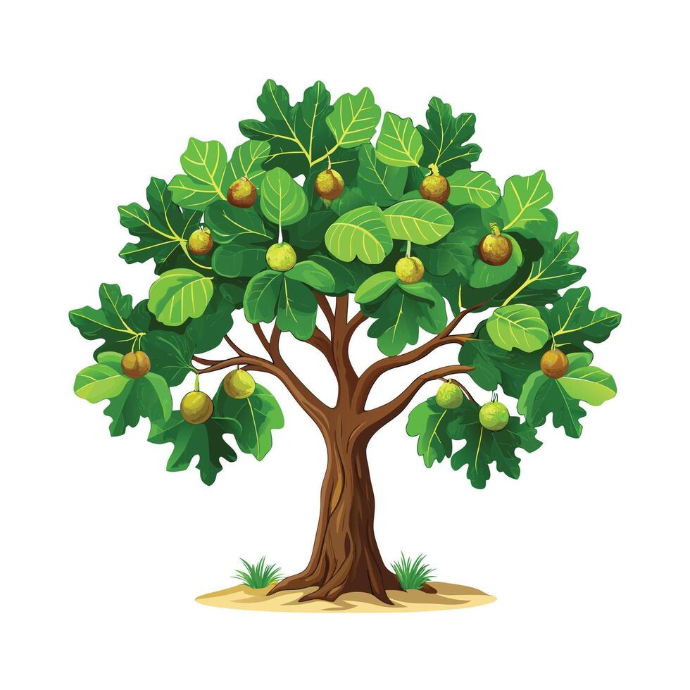 Beautiful Single Big Tree Illustration vector