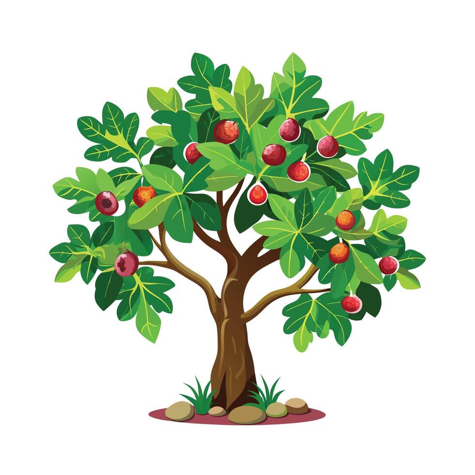 Beautiful Single Big Tree Illustration vector