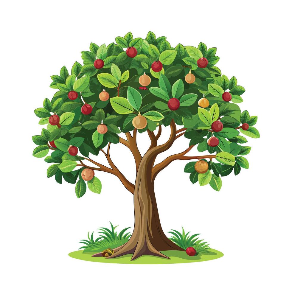 Beautiful Single Big Tree Illustration vector