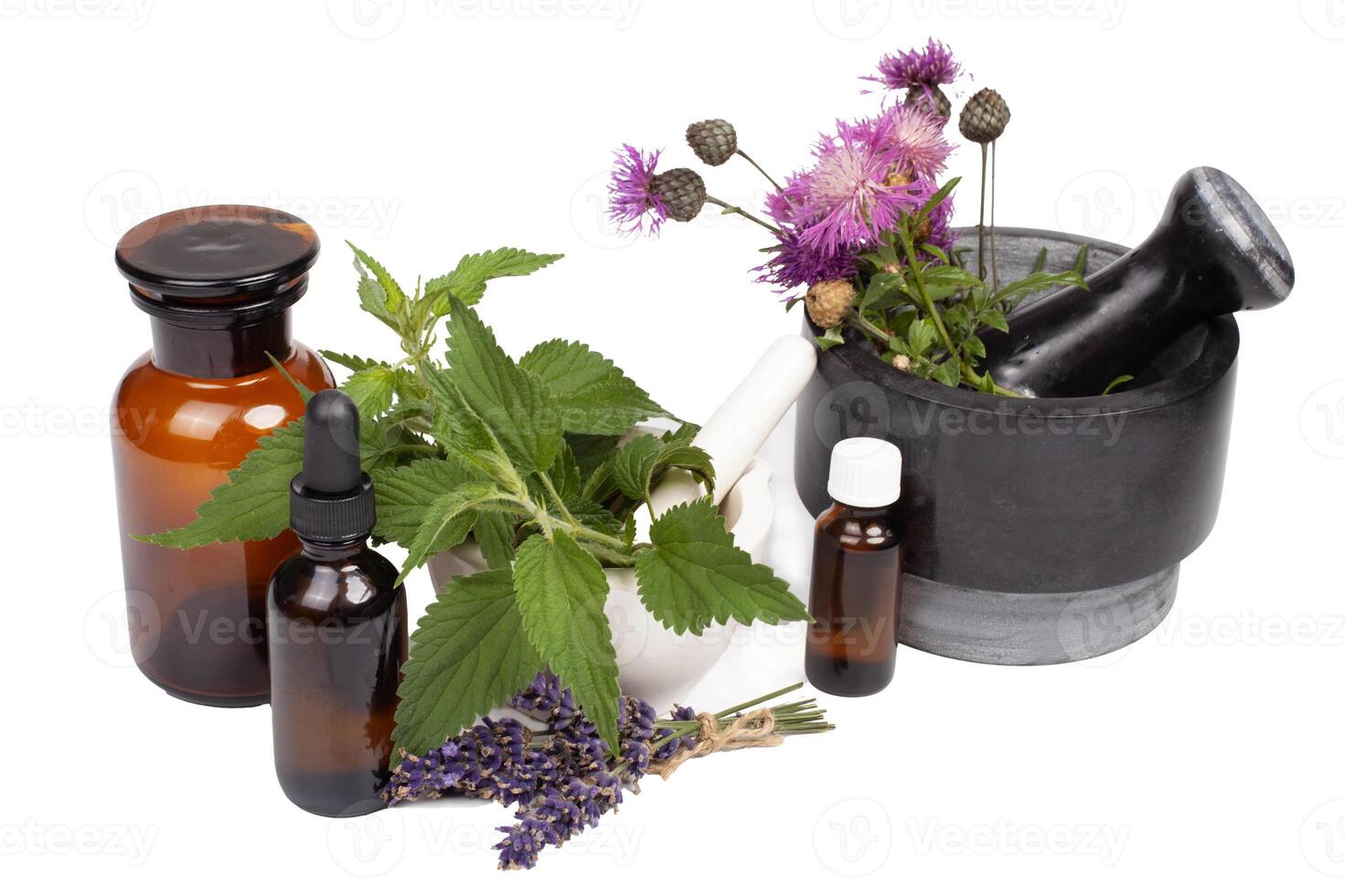 A collection of herbs and flowers are displayed on a white background photo