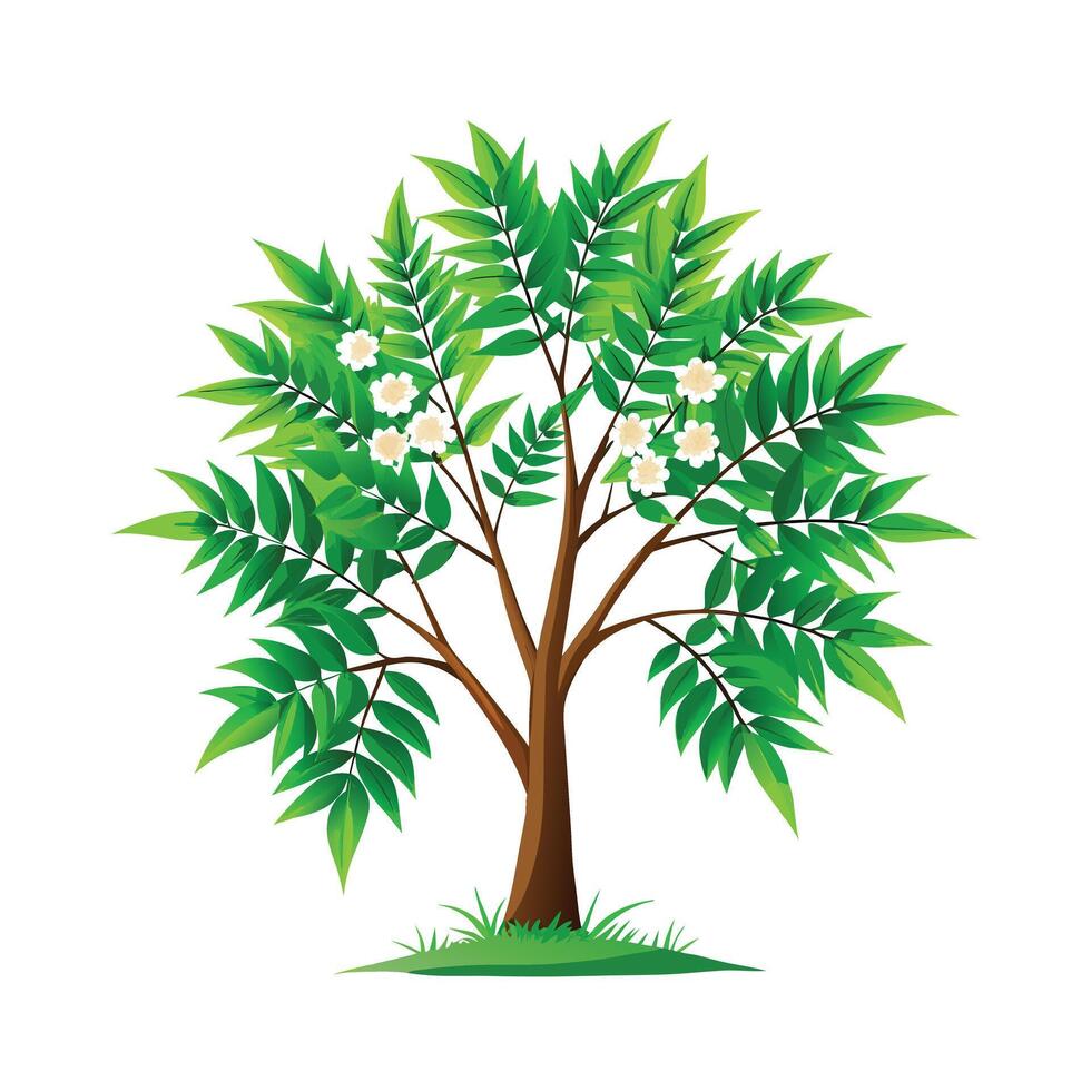 Beautiful Single Big Tree Illustration vector