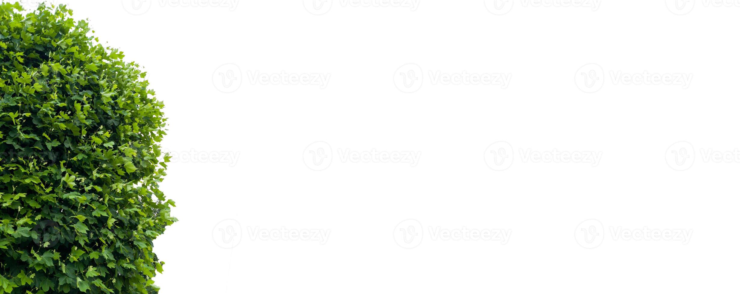 Banner Concept with Space for Text photo