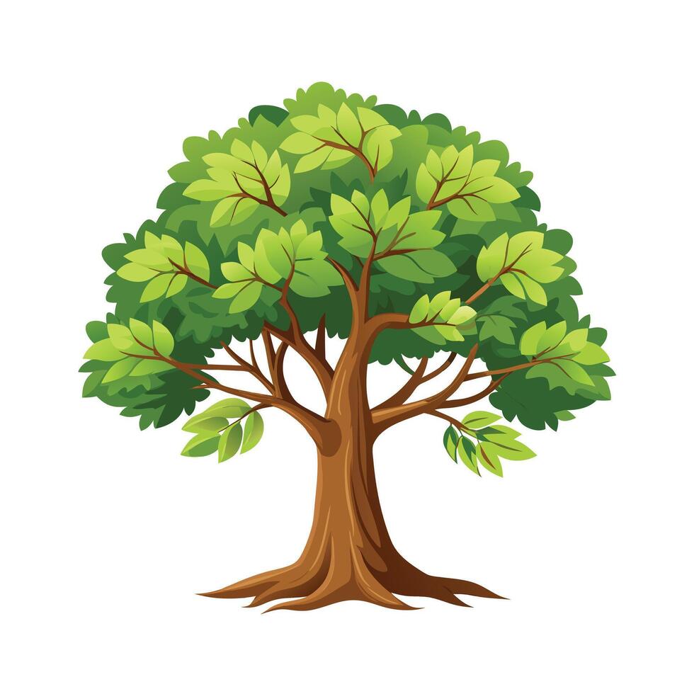 Beautiful Single Big Tree Illustration vector