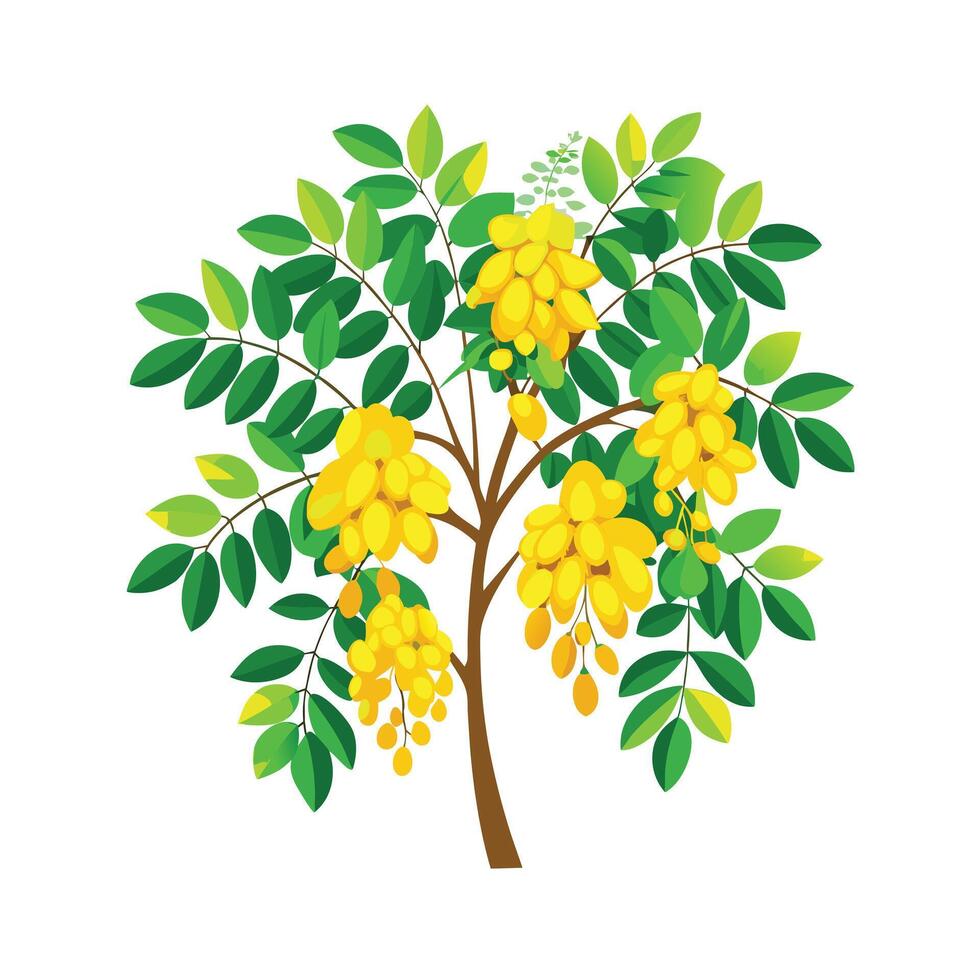 Beautiful Single Big Tree Illustration vector