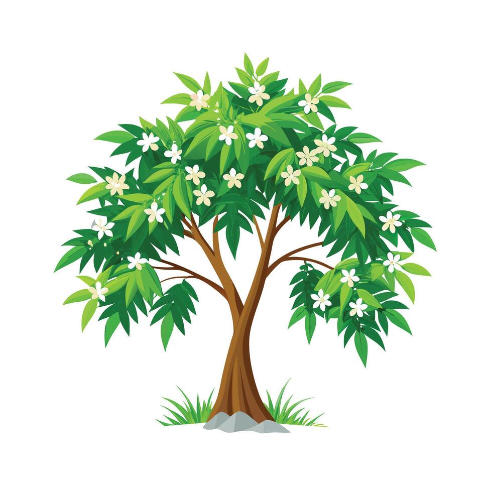 Beautiful Single Big Tree Illustration vector