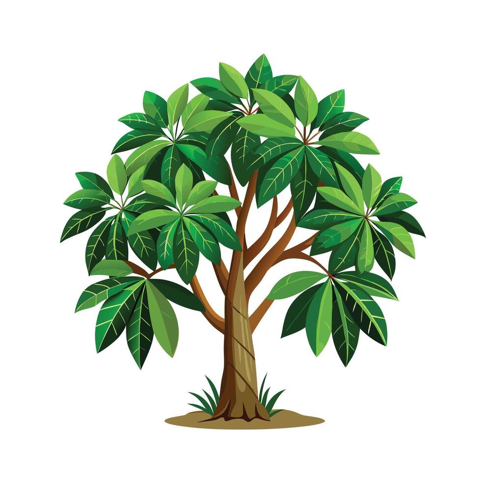 Beautiful Single Big Tree Illustration vector