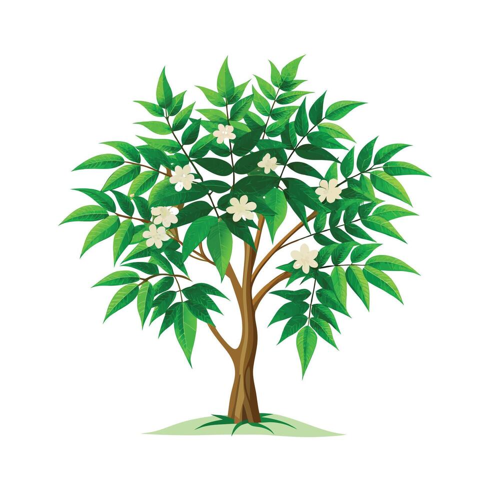 Beautiful Single Big Tree Illustration vector
