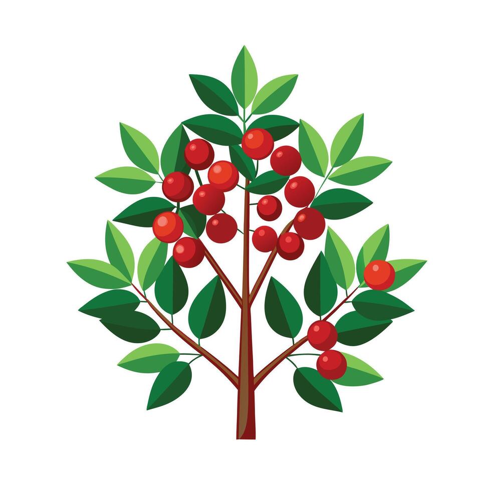 Beautiful Single Big Tree Illustration vector