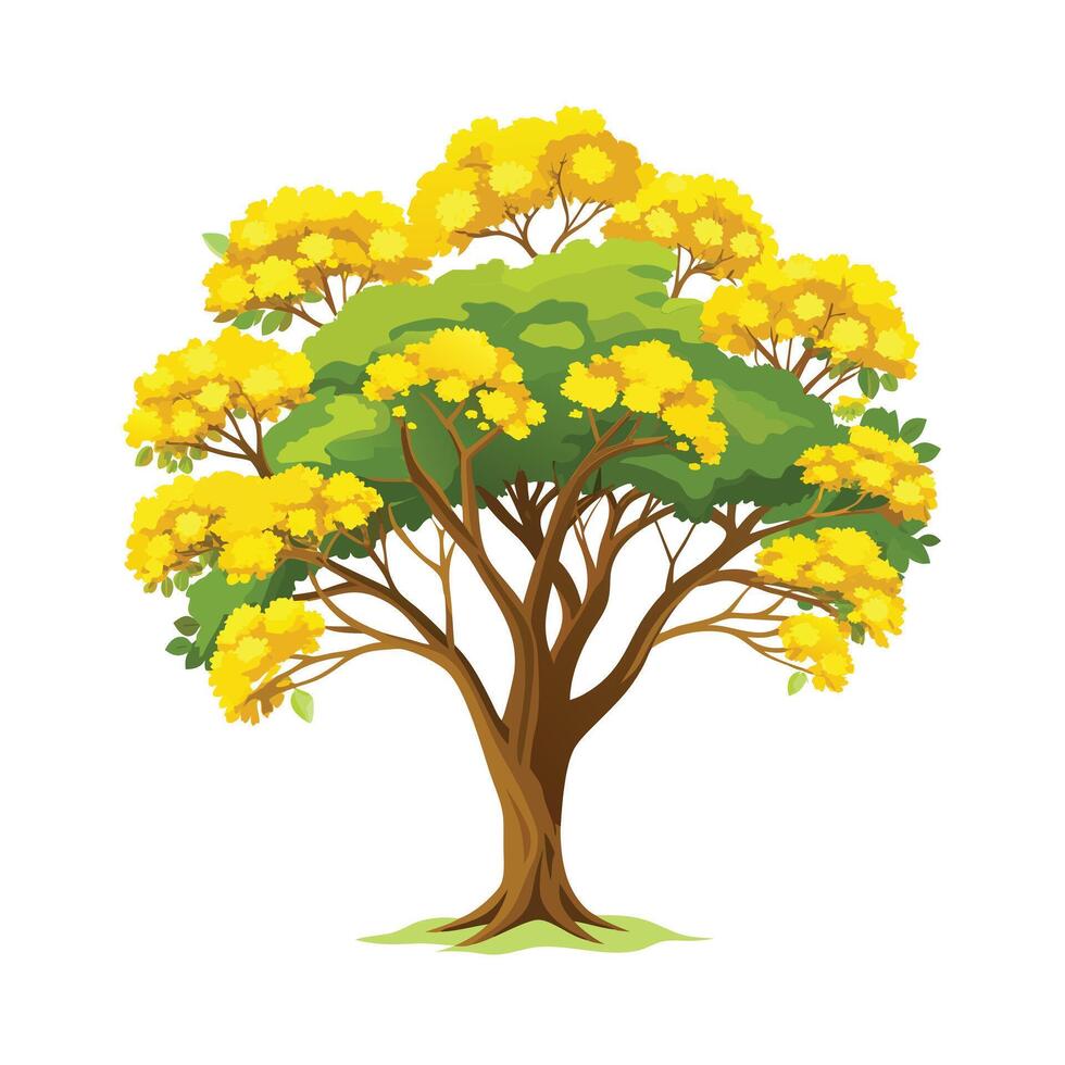 Beautiful Single Big Tree Illustration vector