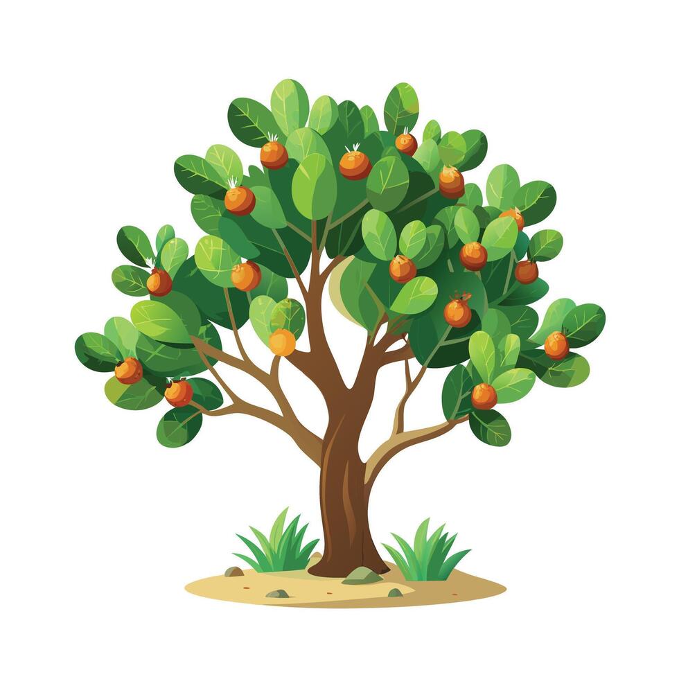 Beautiful Single Big Tree Illustration vector