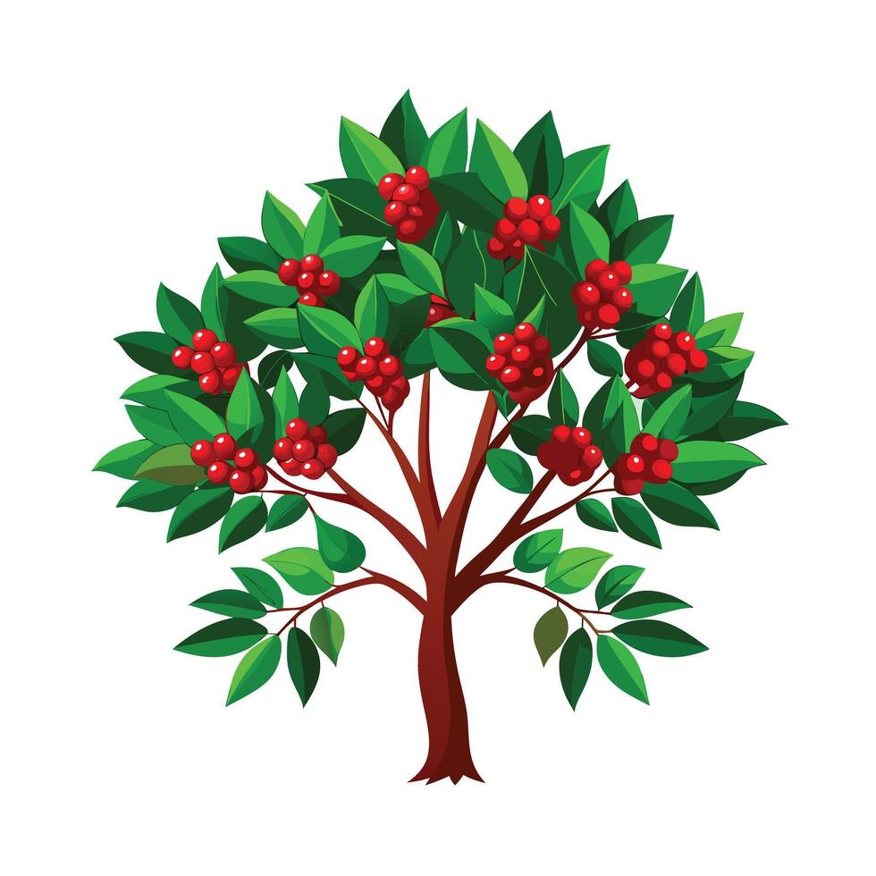 Beautiful Single Big Tree Illustration vector