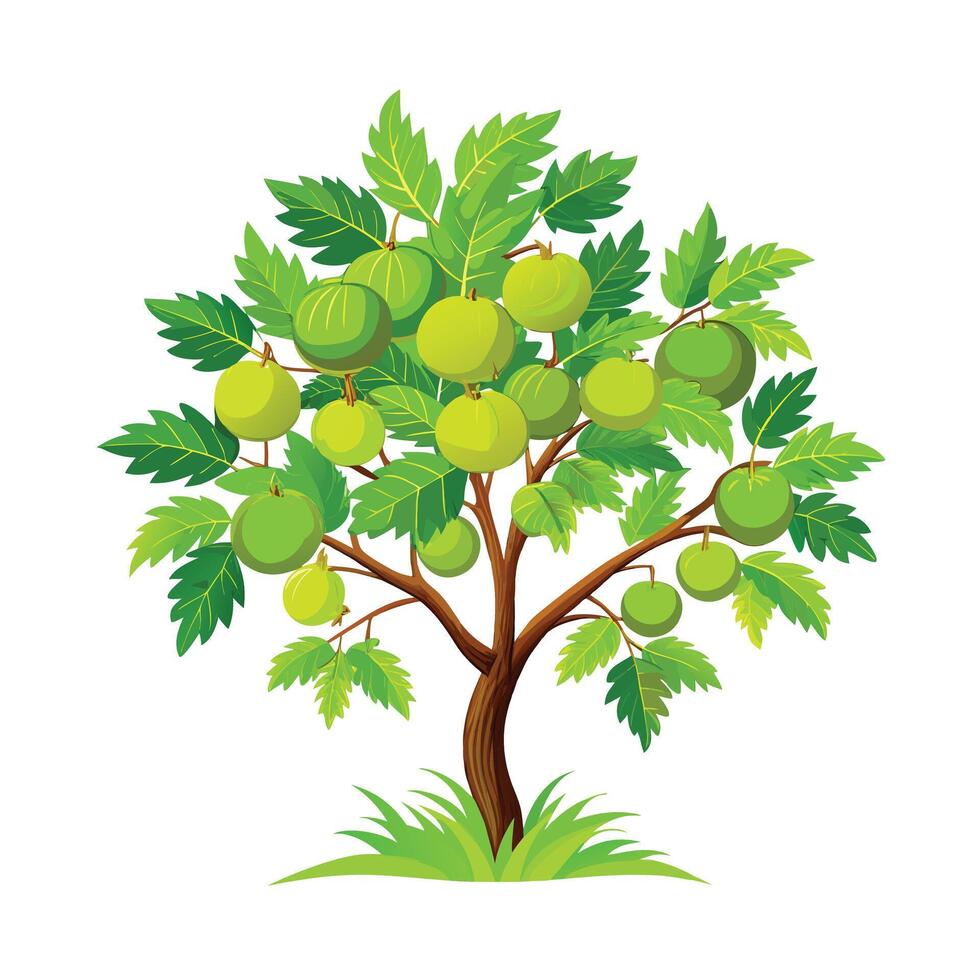 Beautiful Single Big Tree Illustration vector