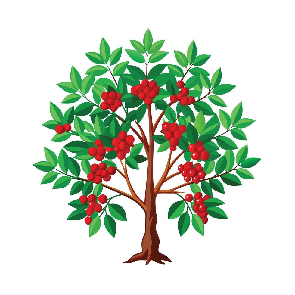 Beautiful Single Big Tree Illustration vector