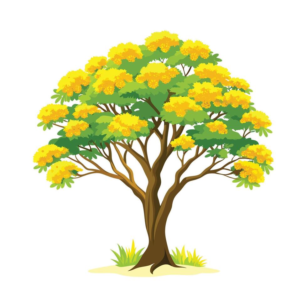 Beautiful Single Big Tree Illustration vector