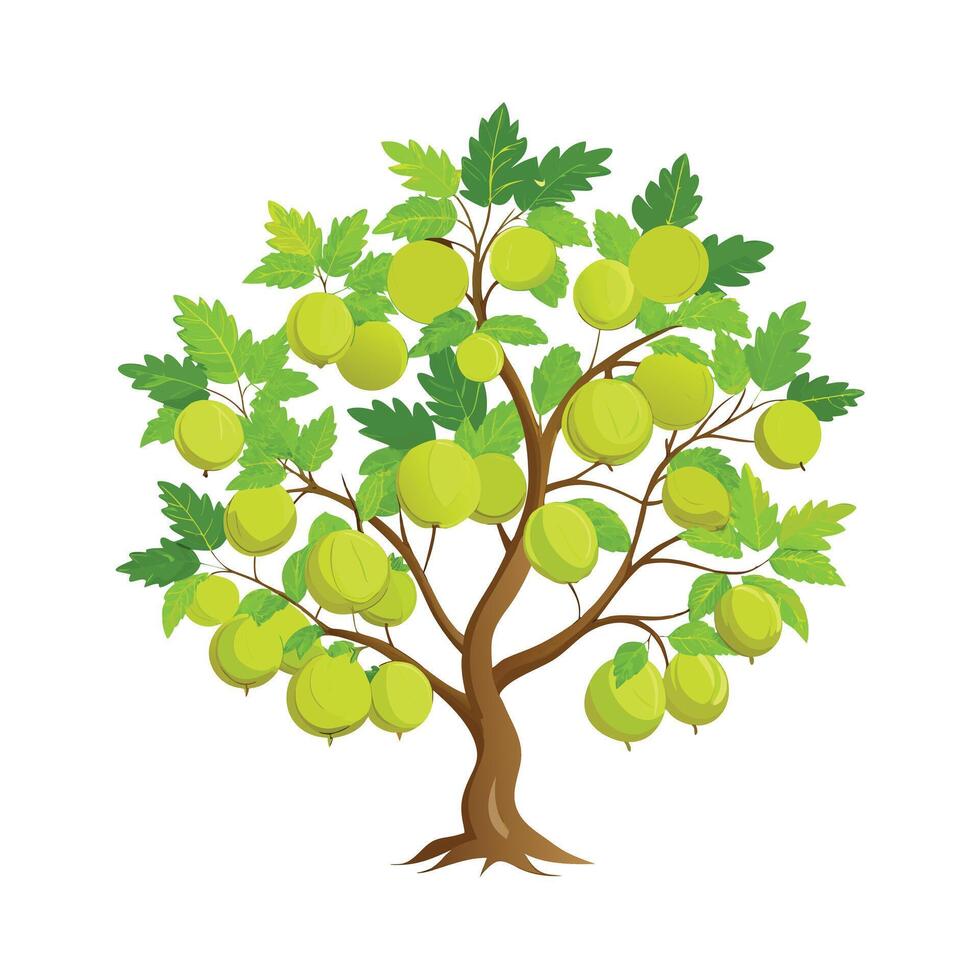 Beautiful Single Big Tree Illustration vector
