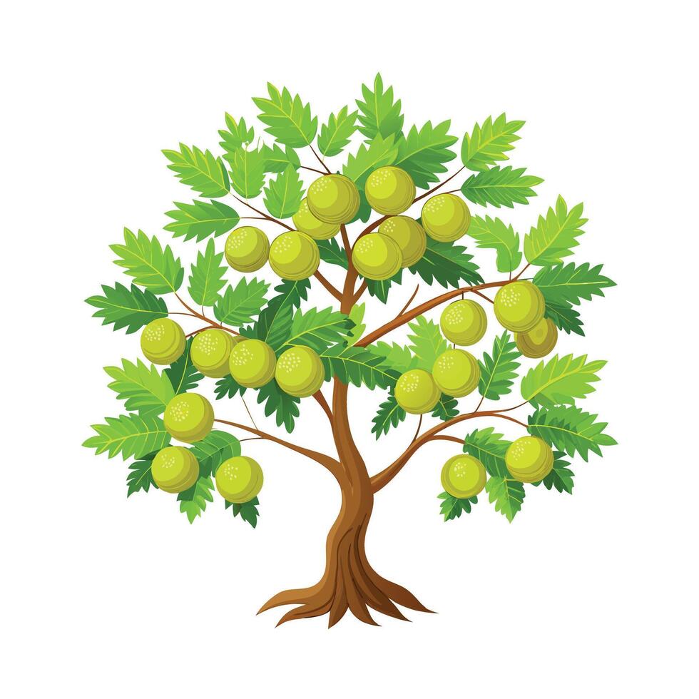 Beautiful Single Big Tree Illustration vector