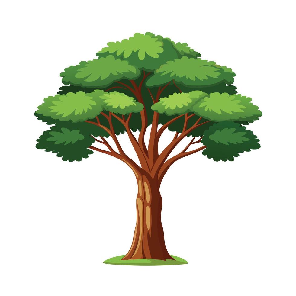 Beautiful Single Big Tree Illustration vector