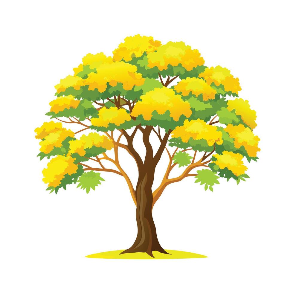 Beautiful Single Big Tree Illustration vector