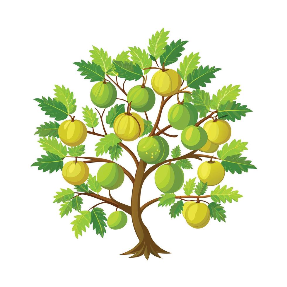 Beautiful Single Big Tree Illustration vector