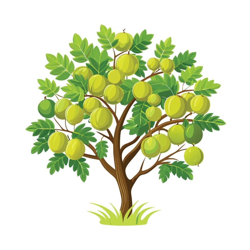 Beautiful Single Big Tree Illustration vector