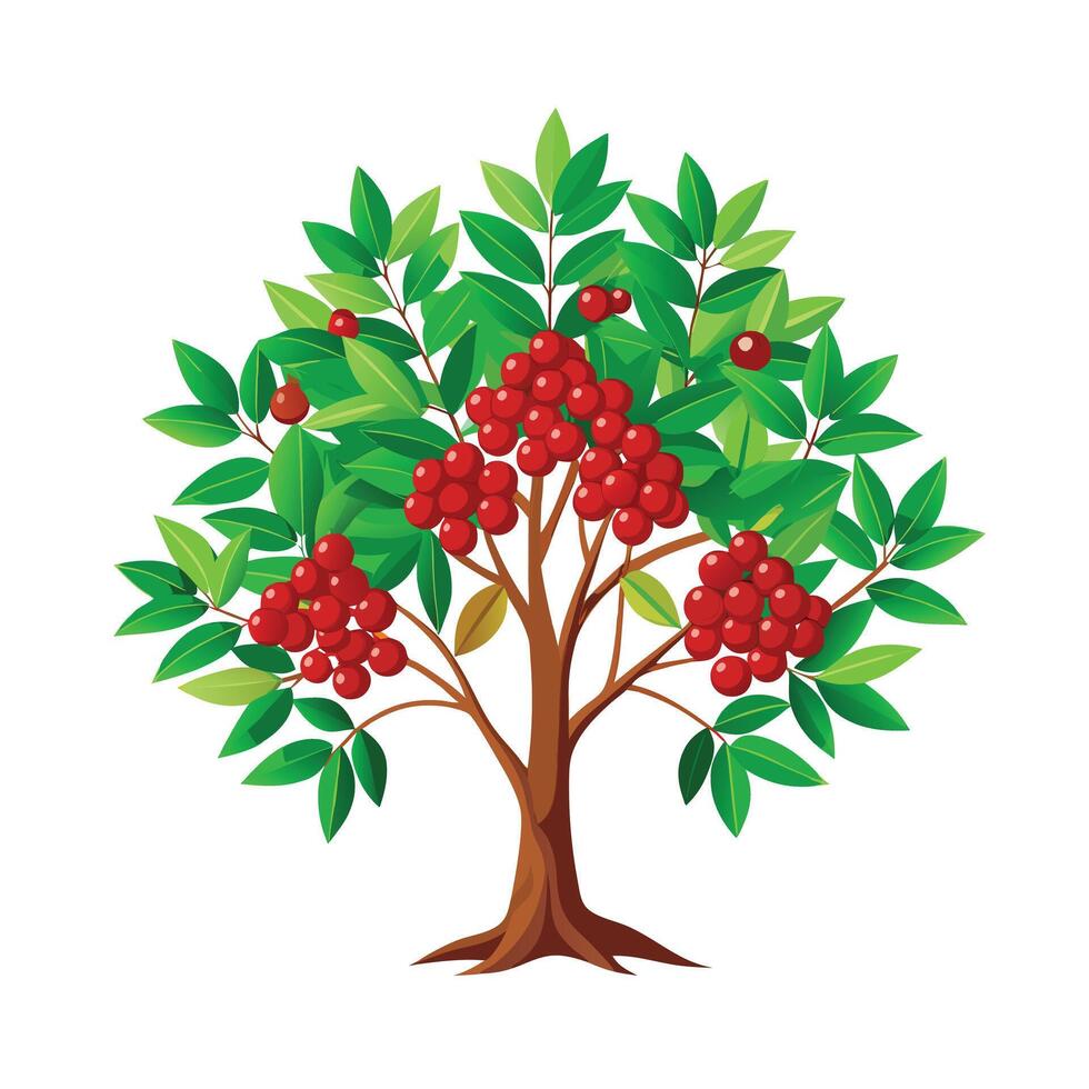 Beautiful Single Big Tree Illustration vector