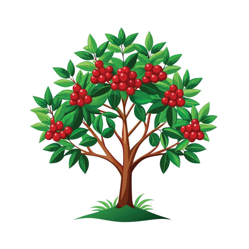 Beautiful Single Big Tree Illustration vector