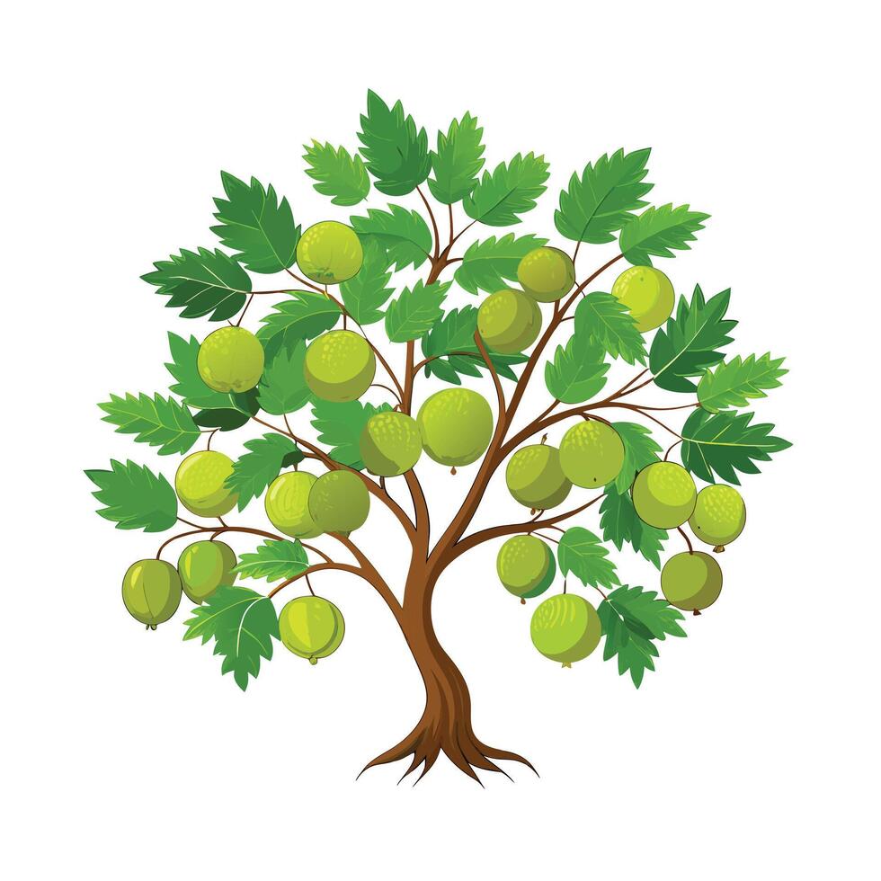 Beautiful Single Big Tree Illustration vector