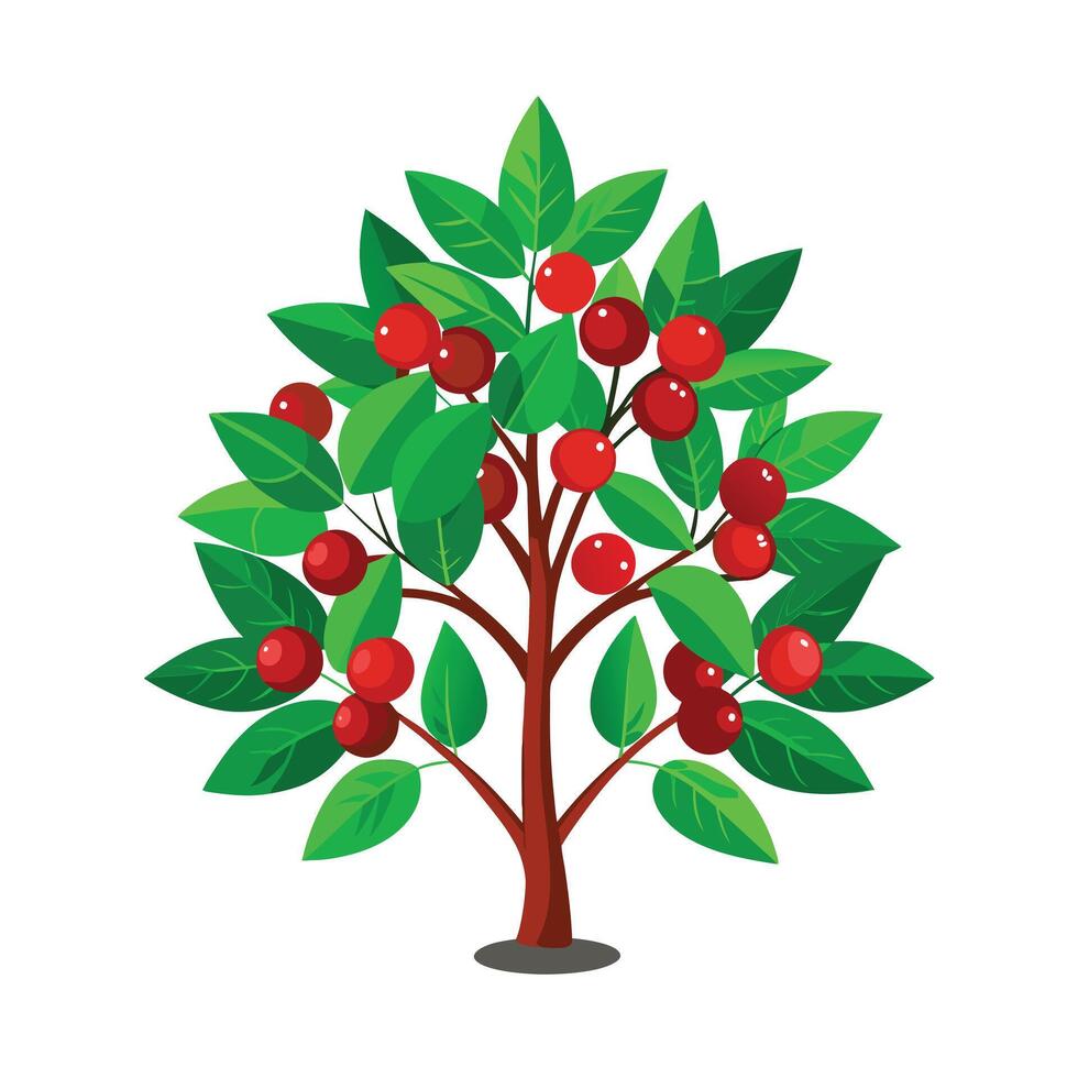 Beautiful Single Big Tree Illustration vector