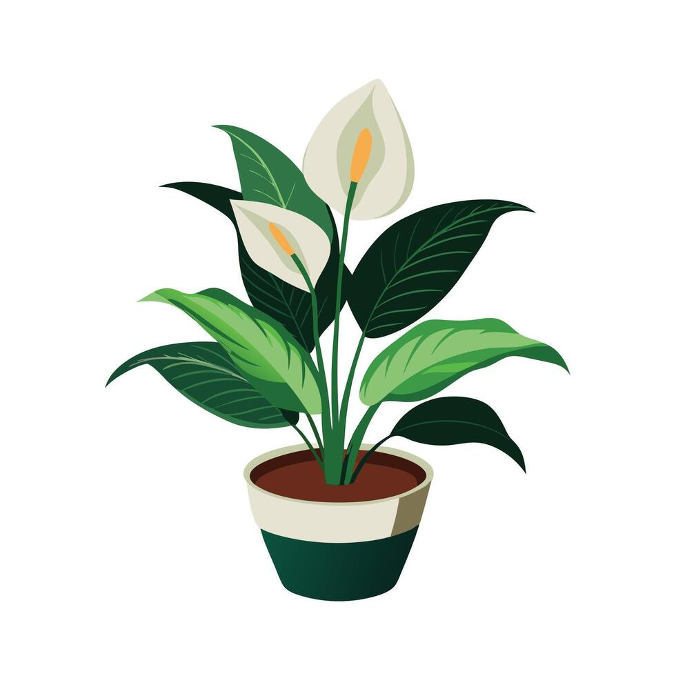 Beautiful Flowerpot Houseplant Illustration vector