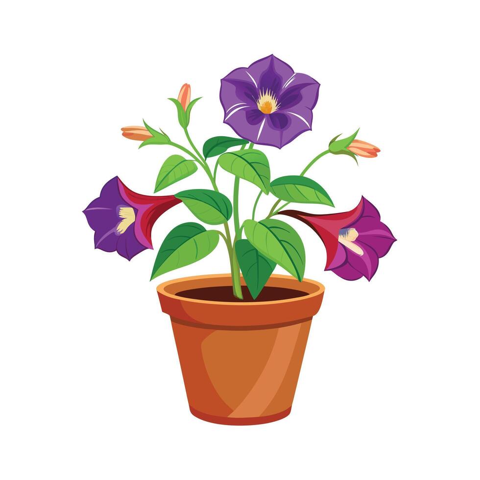Beautiful Flowerpot Houseplant Illustration vector