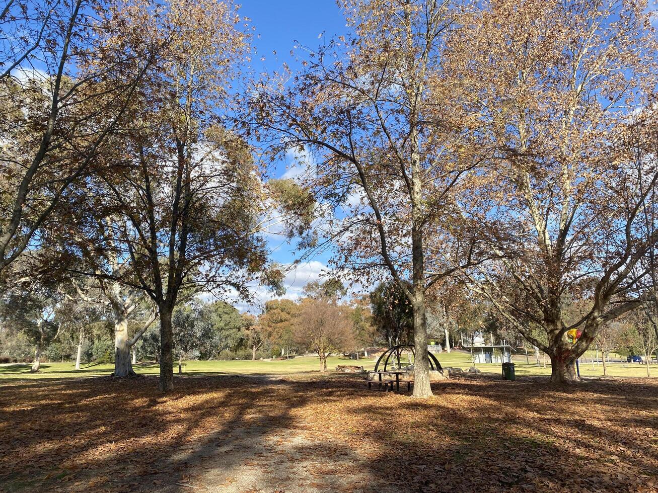 Willow Park, offers large open spaces area of natural, or planted space set aside for human enjoyment and recreation , at Wodonga city in Victoria, Australia. photo