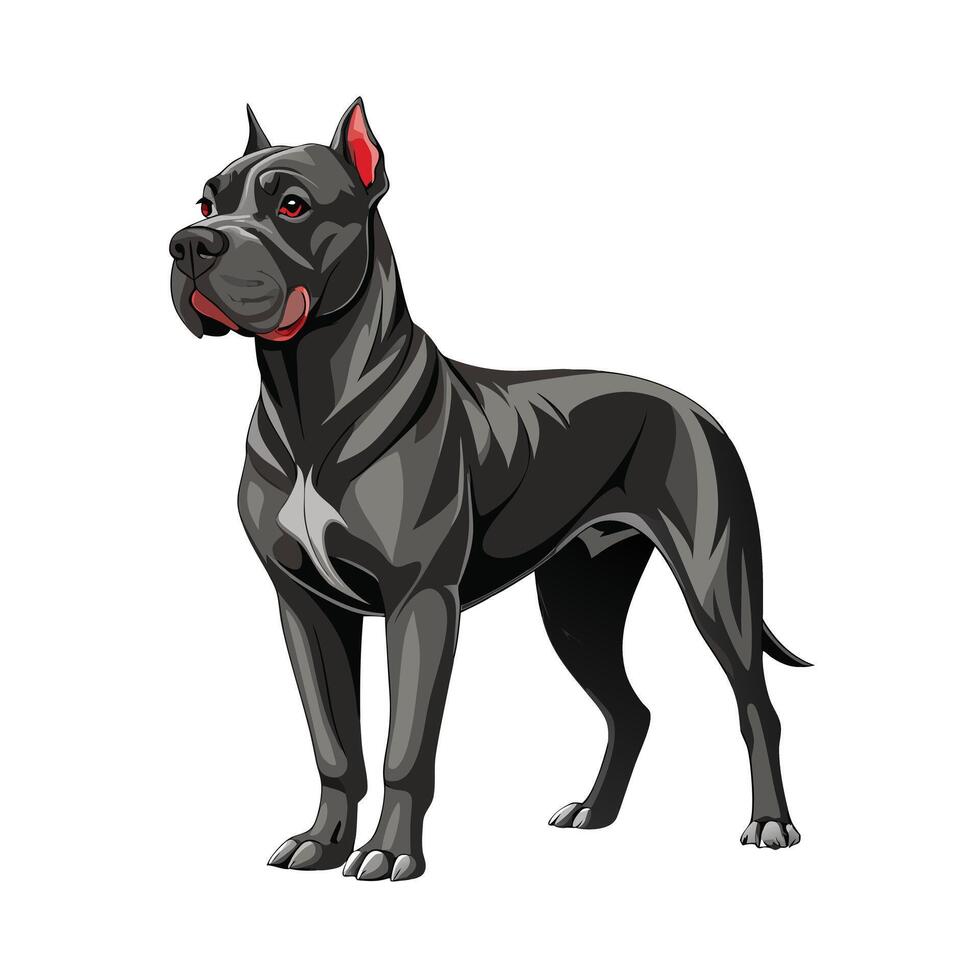 Realistic Illustration of Popular Pet Dogs vector