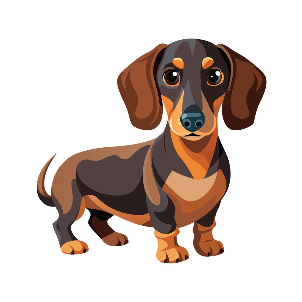 Realistic Illustration of Popular Pet Dogs vector