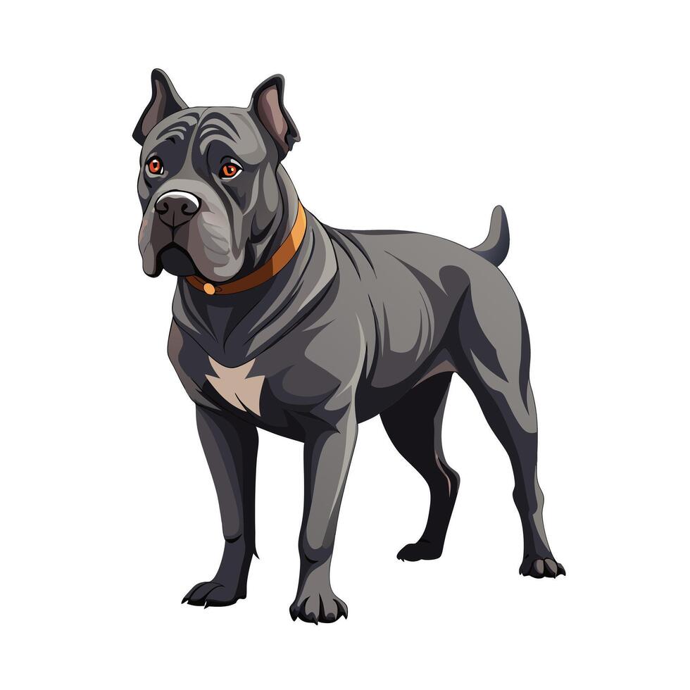 Realistic Illustration of Popular Pet Dogs vector