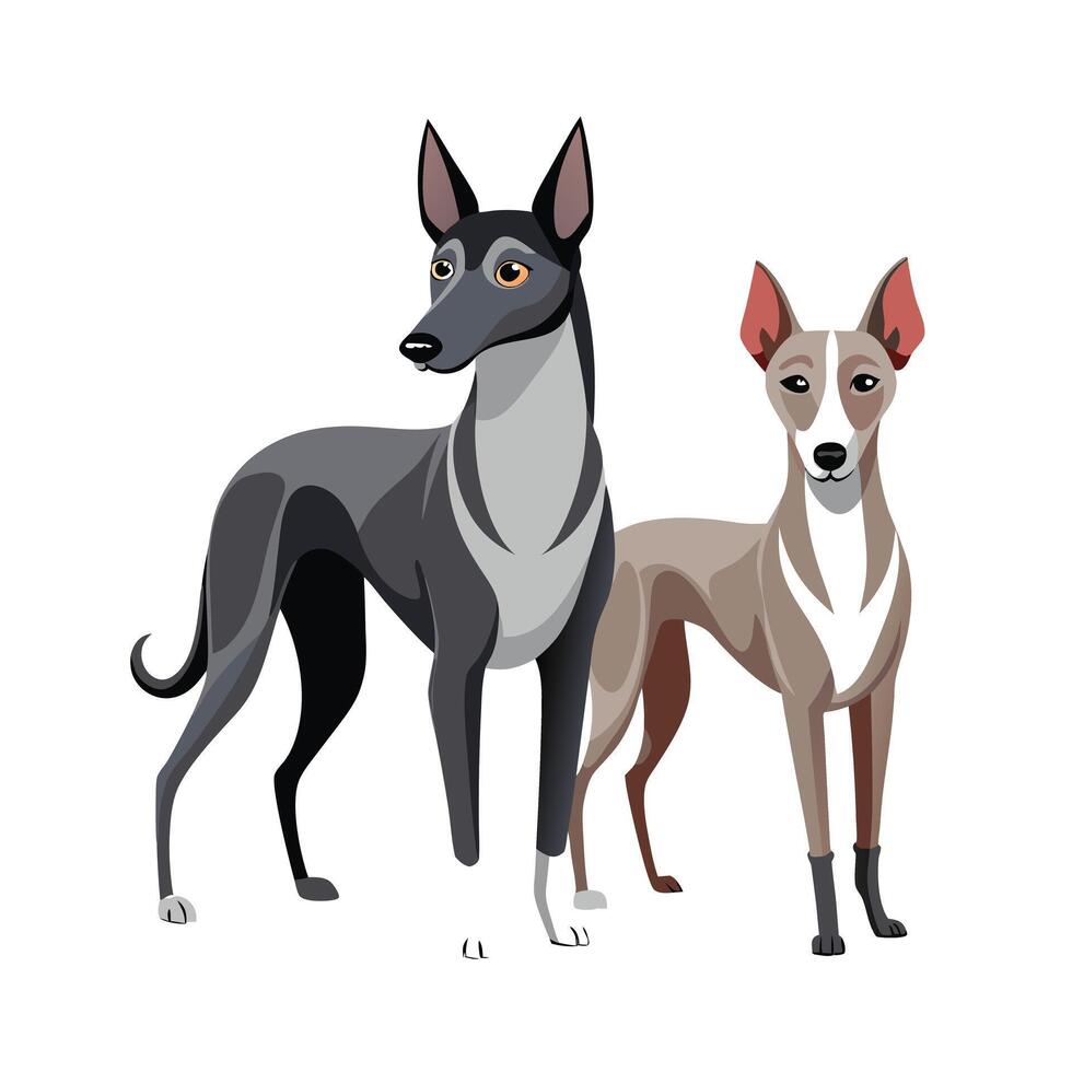 Realistic Illustration of Popular Pet Dogs vector