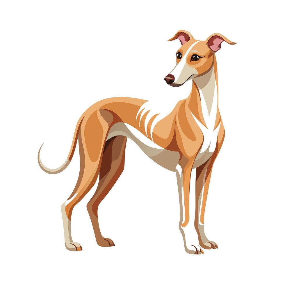 Realistic Illustration of Popular Pet Dogs vector