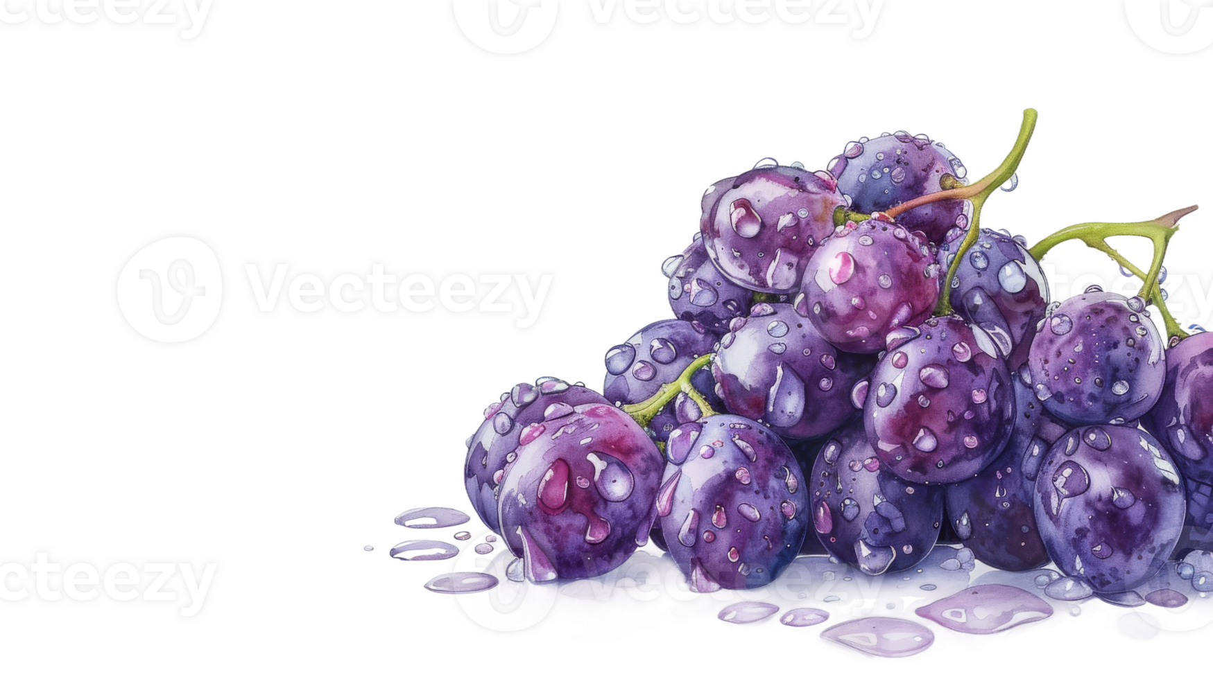 Watercolor Painting of Grapes on isolated Transparent background. Format png