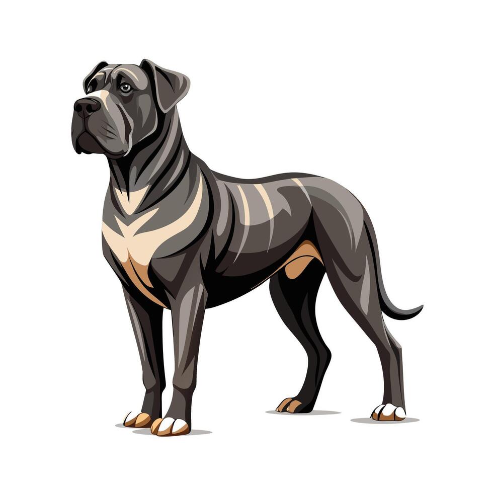 Realistic Illustration of Popular Pet Dogs vector