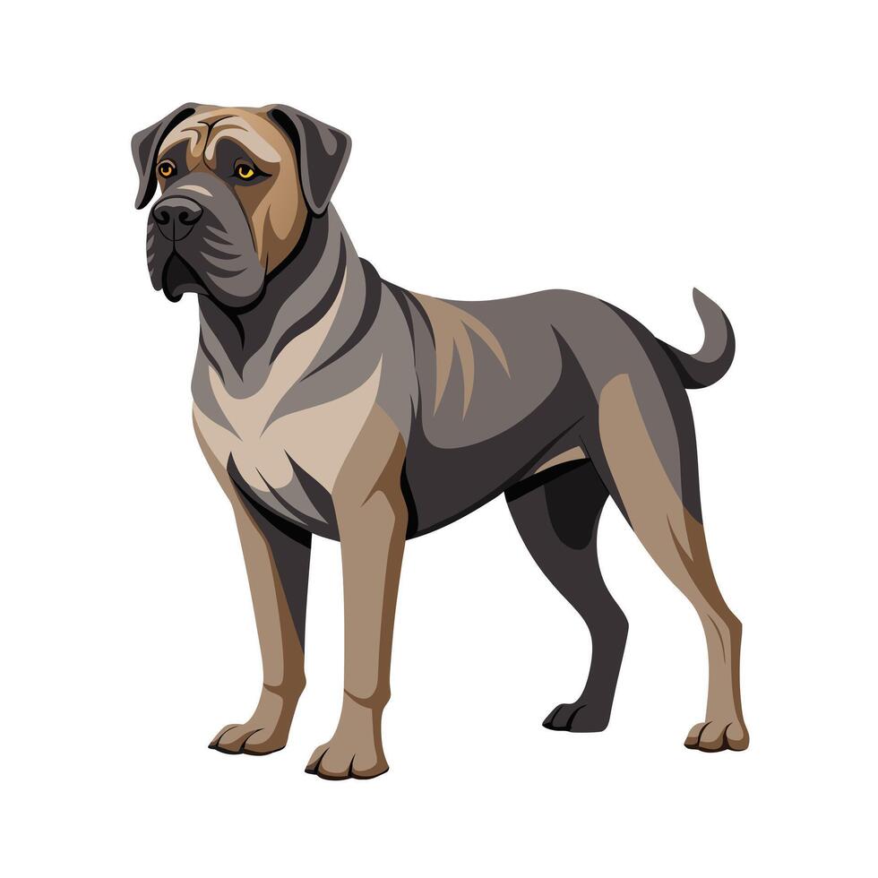 Realistic Illustration of Popular Pet Dogs vector