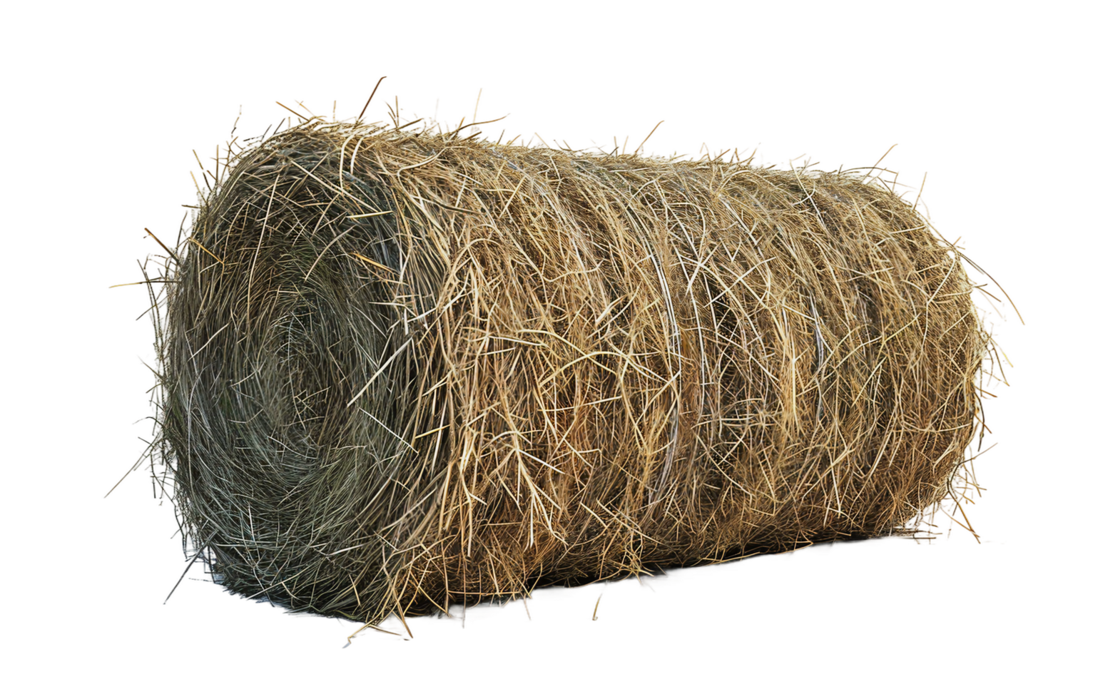 Cylinder Hay on Transparent Background png